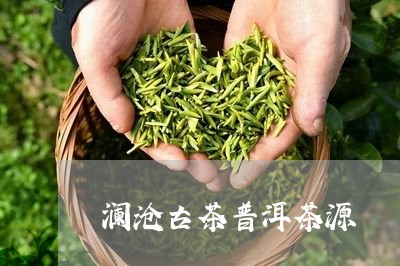 澜沧古茶普洱茶源/2023031691516