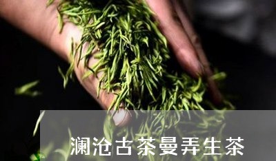 澜沧古茶曼弄生茶/2023032539571