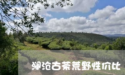 澜沧古茶荒野性价比/2023032181715