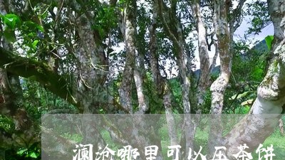 澜沧哪里可以压茶饼/2023032161747