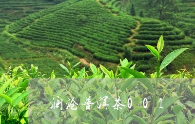 澜沧普洱茶001/2023041049480