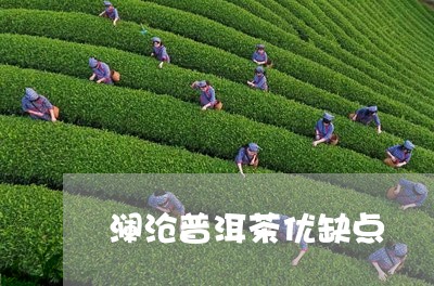 澜沧普洱茶优缺点/2023041012816