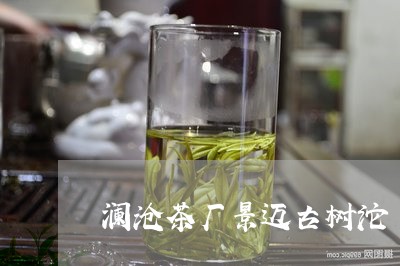 澜沧茶厂景迈古树沱/2023032262816