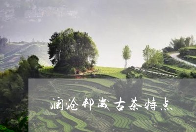 澜沧邦崴古茶特点/2023032476350