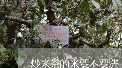 炒米茶的米要不要洗/2023032113149