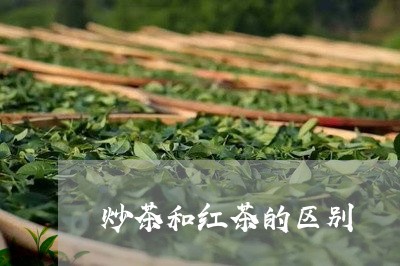 炒茶和红茶的区别/2023031846350