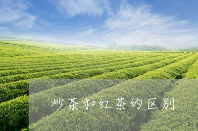 炒茶和红茶的区别/2023041395046