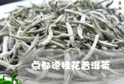 点都德桂花普洱茶/2023031767362