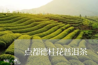 点都德桂花普洱茶/2023041386269