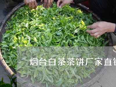 烟台白茶茶饼厂家直销批发/2023040905150