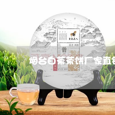 烟台白茶茶饼厂家直销电话/2023041293058