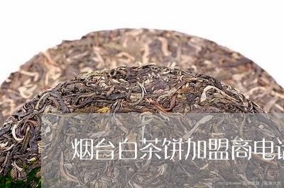 烟台白茶饼加盟商电话地址/2023040954025