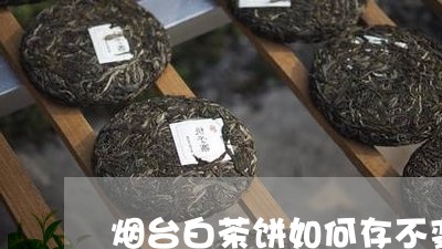 烟台白茶饼如何存不变色/2023040957693