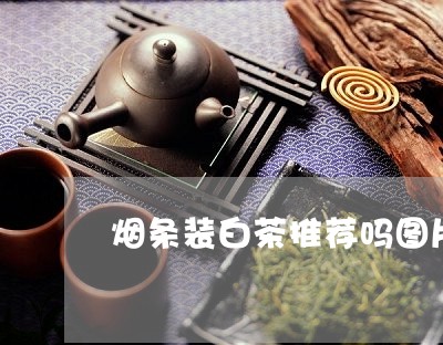 烟条装白茶推荐吗图片高清/2023040962806