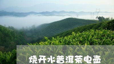 烧开水普洱茶电壶/2023040936461