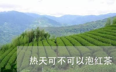 热天可不可以泡红茶/2023041581815