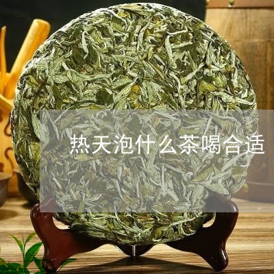 热天泡什么茶喝合适/2023041586169