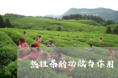 热性茶的功效与作用/2023032163925