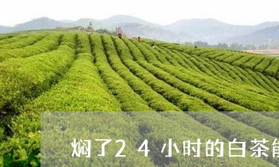 焖了24小时的白茶能喝吗/2023033195035