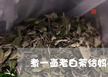 煮一壶老白茶给妈妈喝好吗/2023040913147