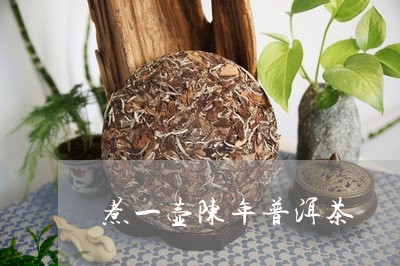 煮一壶陈年普洱茶/2023033076157