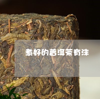 煮好的普洱茶有沫/2023033066349