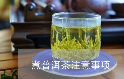 煮普洱茶注意事项/2023031604182