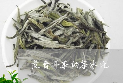 煮普洱茶的茶水比/2023041326450