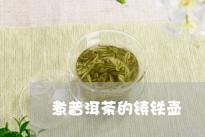 煮普洱茶的铸铁壶/2023040180793