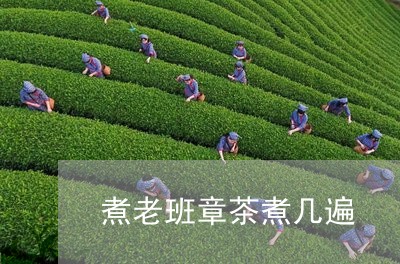 煮老班章茶煮几遍/2023032969584