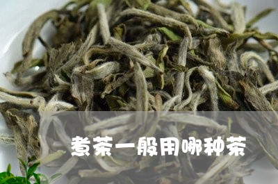 煮茶一般用哪种茶/2023032415151