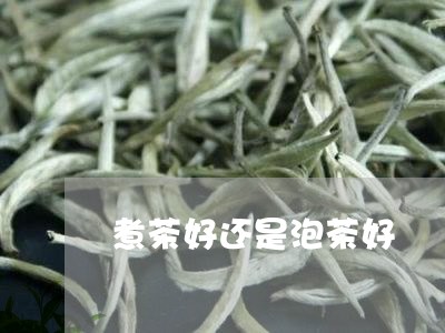 煮茶好还是泡茶好/2023032521917