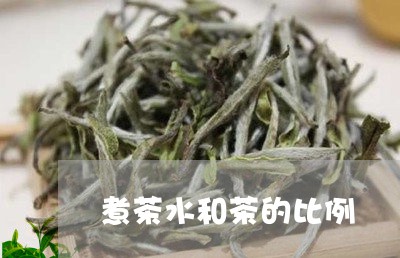 煮茶水和茶的比例/2023032552816