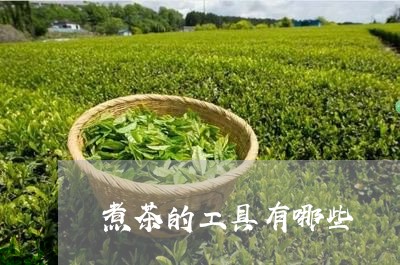 煮茶的工具有哪些/2023032490612