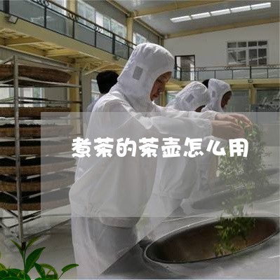 煮茶的茶壶怎么用/2023032474050