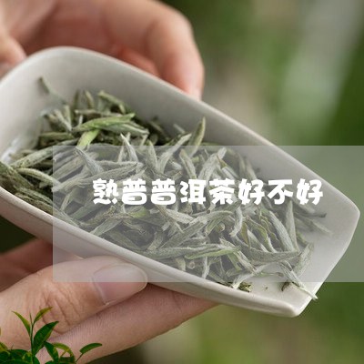 熟普普洱茶好不好/2023033153947