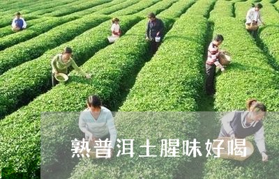 熟普洱土腥味好喝/2023032979696