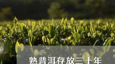 熟普洱存放三十年/2023041305159