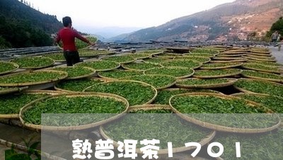 熟普洱茶1701/2023041027494