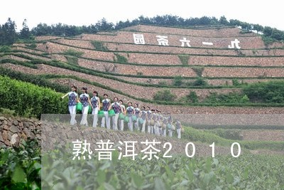 熟普洱茶2010/2023041098268