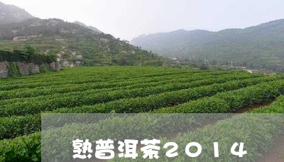 熟普洱茶2014/2023041093057