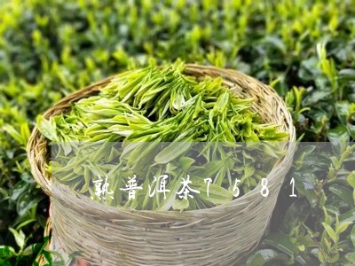 熟普洱茶7581/2023041010472