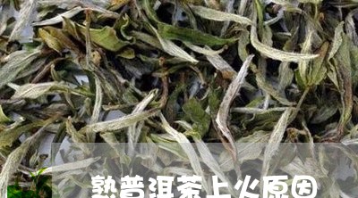 熟普洱茶上火原因/2023040934958