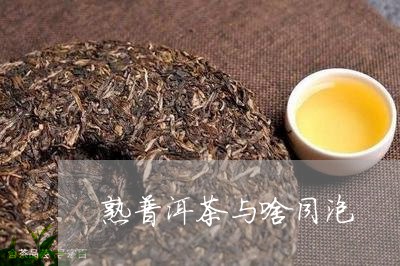 熟普洱茶与啥同泡/2023033135138