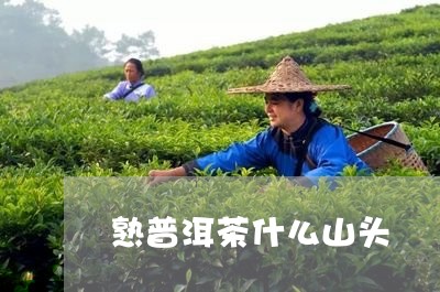 熟普洱茶什么山头/2023031840716