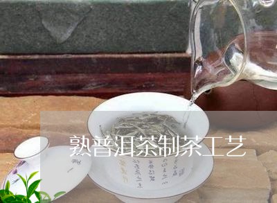 熟普洱茶制茶工艺/2023031694846