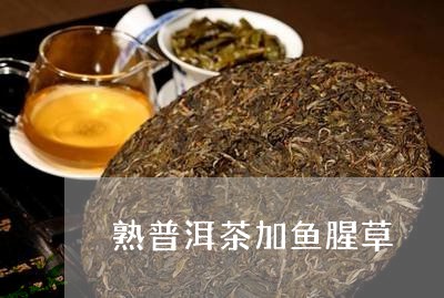 熟普洱茶加鱼腥草/2023033061715