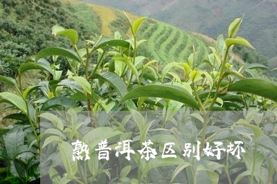 熟普洱茶区别好坏/2023041075359