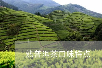 熟普洱茶口味特点/2023041089481