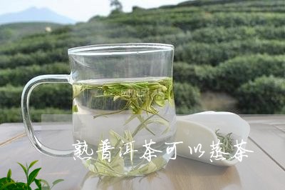 熟普洱茶可以蒸茶/2023041123736